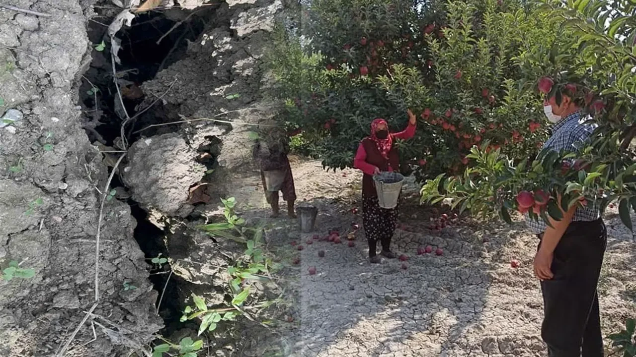 Eğirdir’de elma bahçesinde obruk oluştu