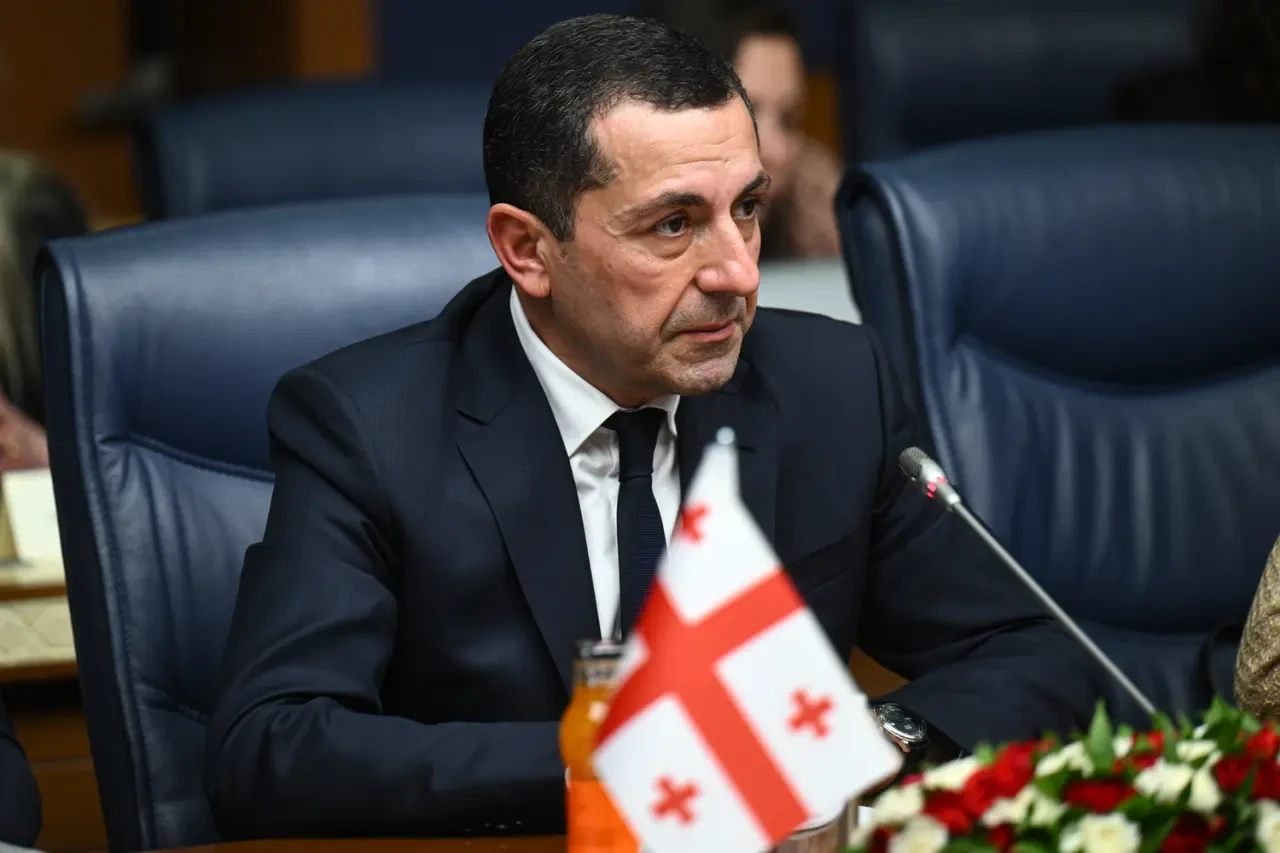 Gürcistan: Türkiye ile Stratejik İşbirliği Artıyor
