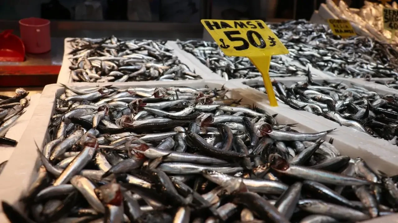 Yön değiştirdiler! Hamsi Türkiye'den kaçıyor