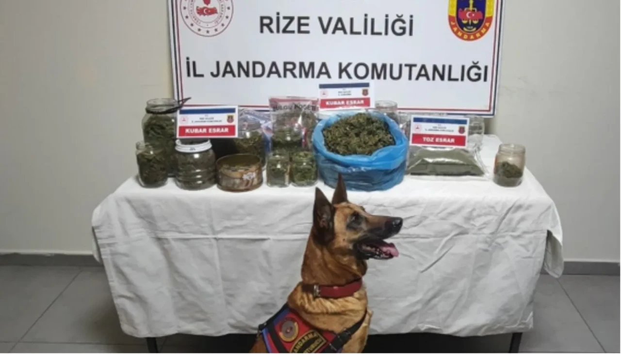 Rize'de uyuşturucu operasyonu: 2.5 kg esrar ve 5 gözaltı!