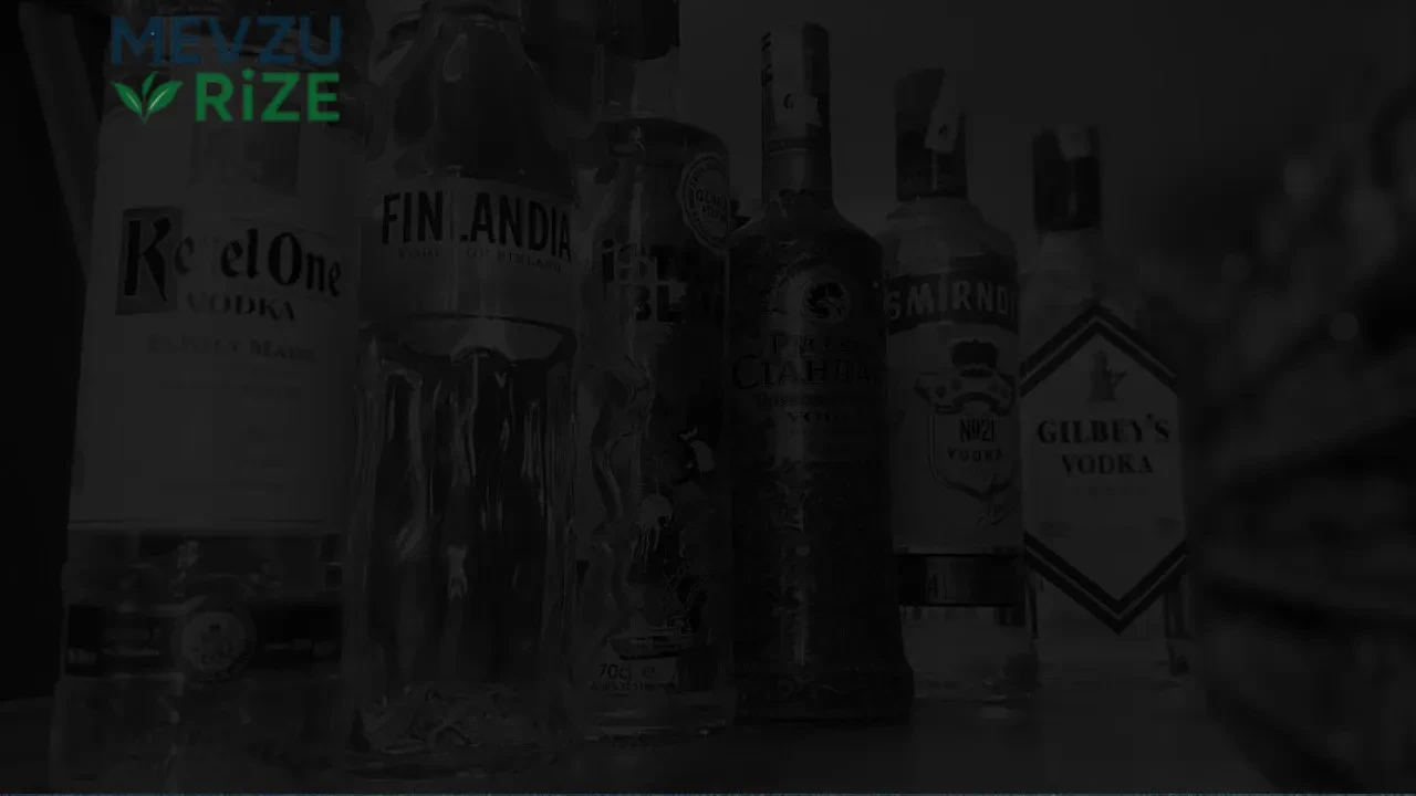 Votka Fiyatları 2025 Güncel Liste