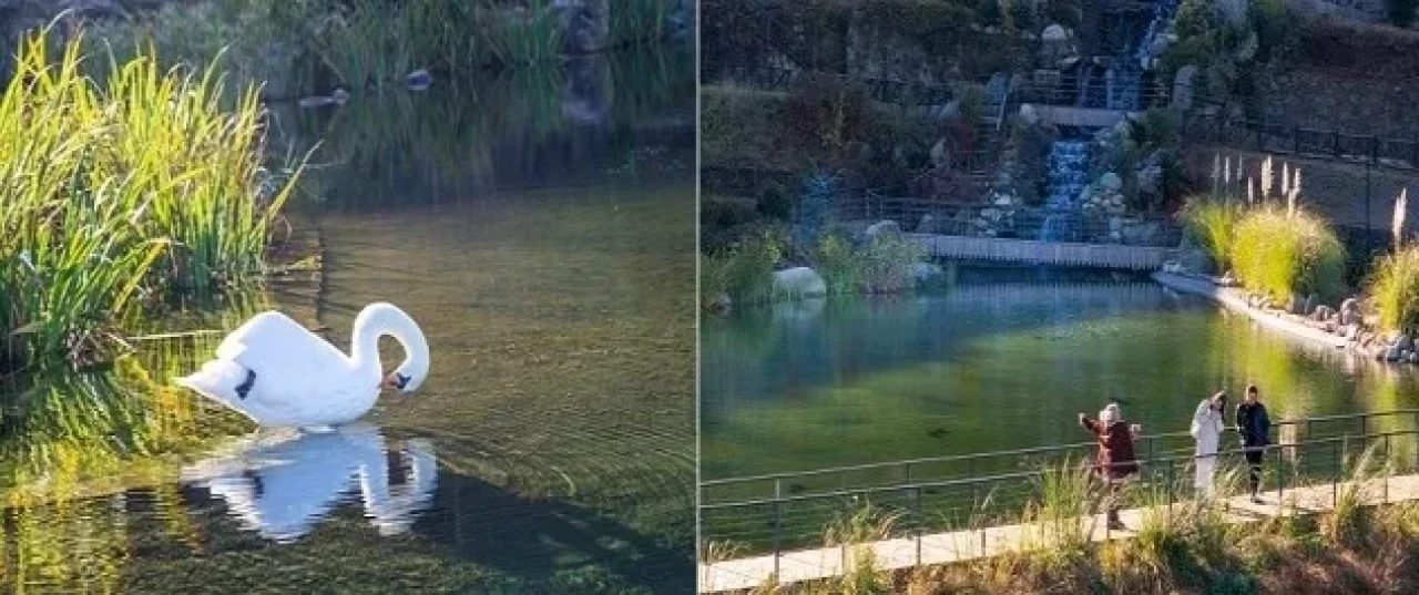 Rize'nin Isırlık Tabiat Parkı: Doğanın Kalbinde Huzur ve Panoramik Manzara