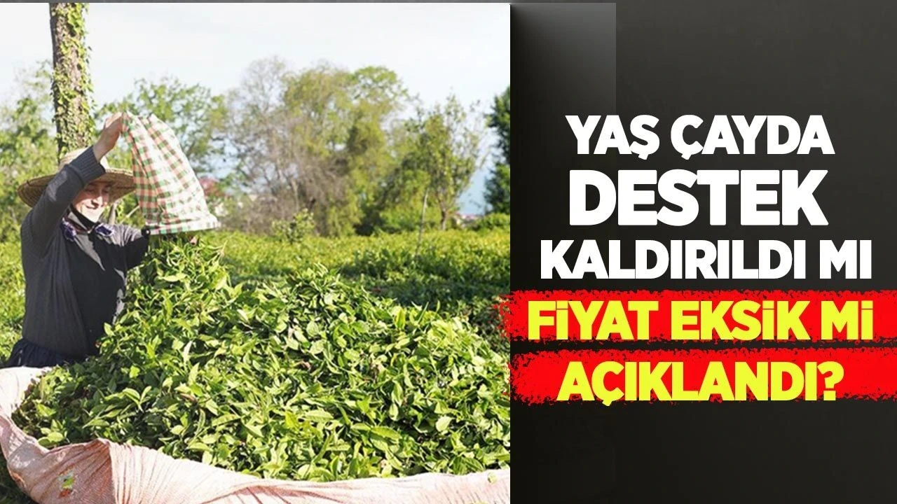 Yaş çayda destek kaldırıldı mı, fiyat eksik mi açıklandı?