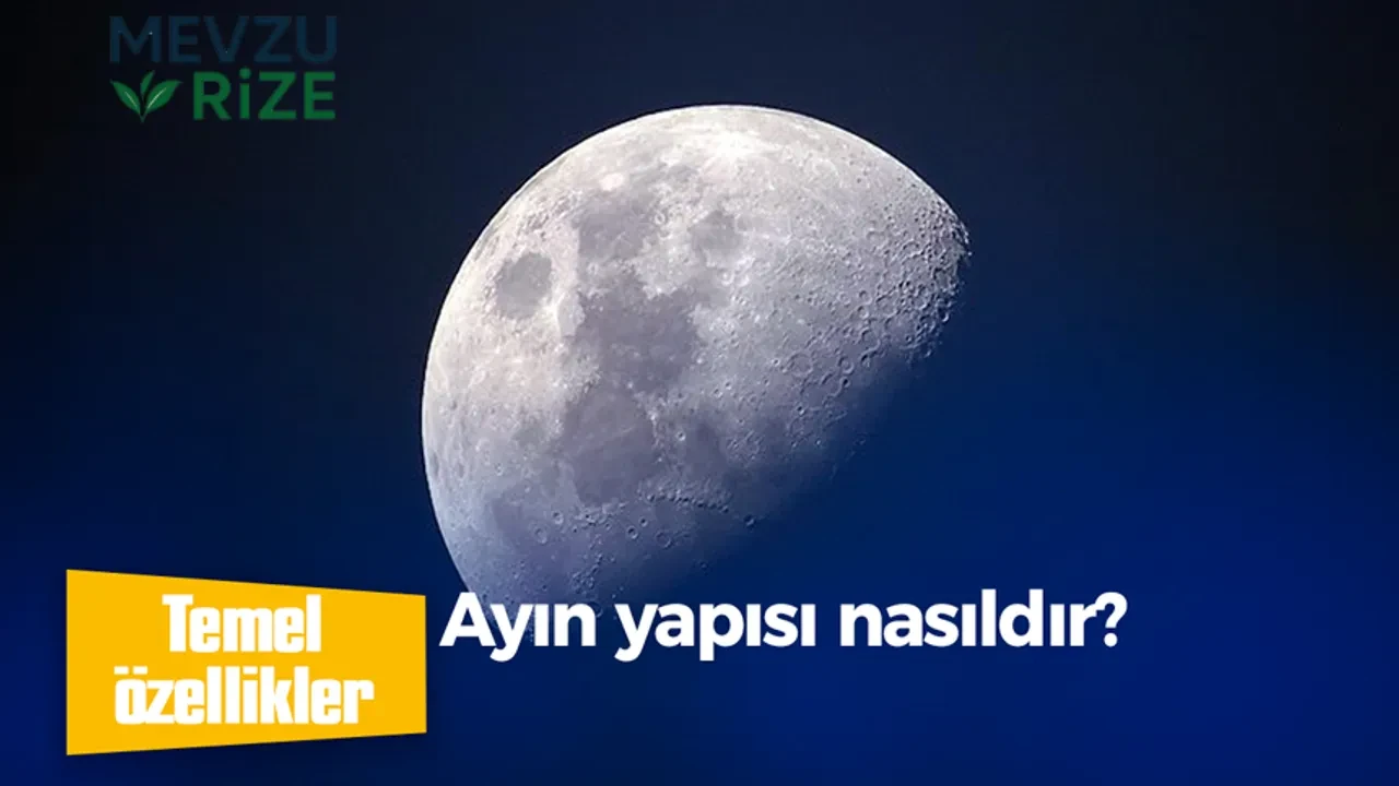 Ayın yapısı nasıldır?