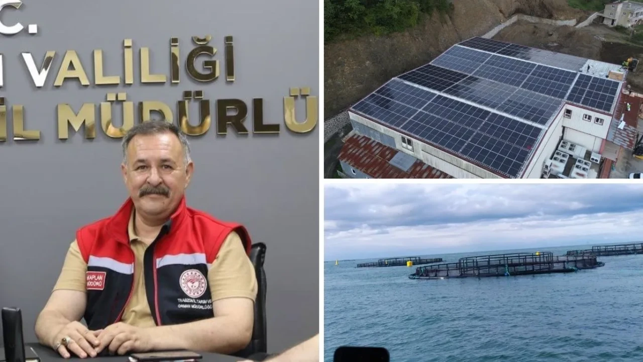 Trabzon'da 29 projeye tarım desteği: 350 kişiye istihdam sağlanacak!