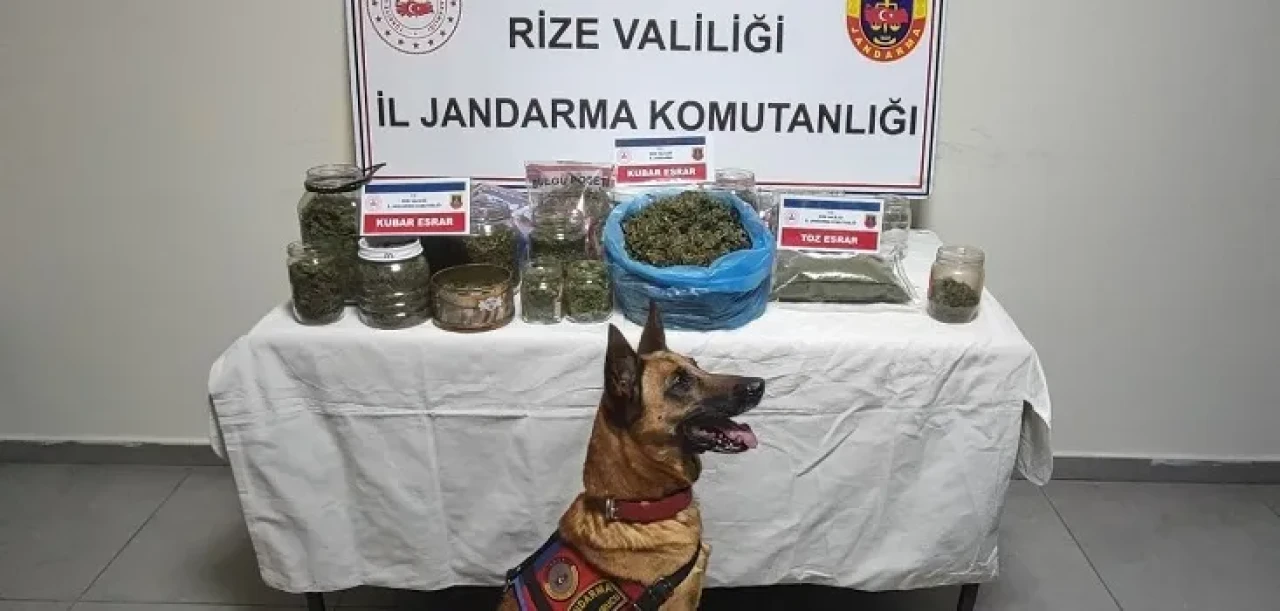Rize'de Jandarma'nın uyuşturucu operasyonunda 2.5 kg esrar ele geçirildi, 5 kişi gözaltına alındı