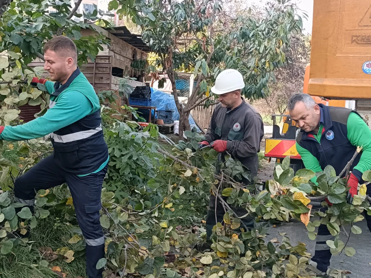 Trabzon'da kışa hazırlık: Yeşil alan bakımına hız verildi!