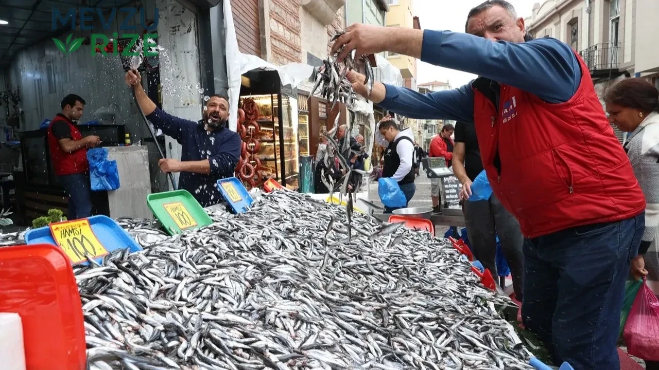 Karadeniz’de Balık Fiyatları Yeniden Düştü: Tezgâhlarda Hamsi Bolluğu
