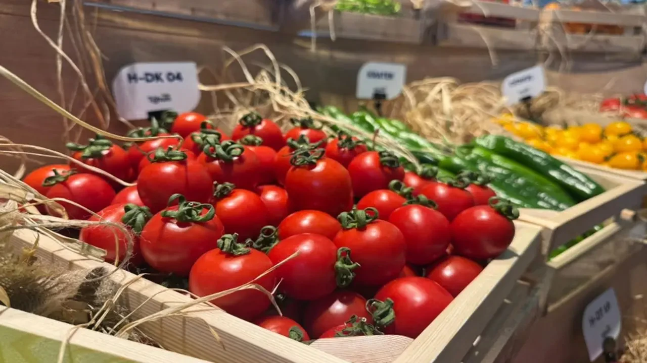 Türkiye, Tohum İhracatındaki Gücünü Artırdı!
