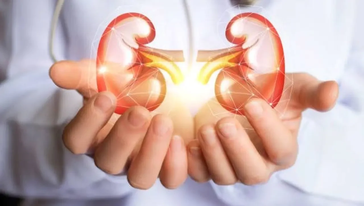 Addison Hastalığı Nedir? Belirtileri, Nedenleri ve Tedavisi