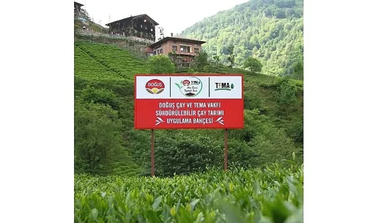 Doğuş Çay ve TEMA Vakfı'ndan sağlıklı topraklar ve sürdürülebilir çay tarımı için ortak adım
