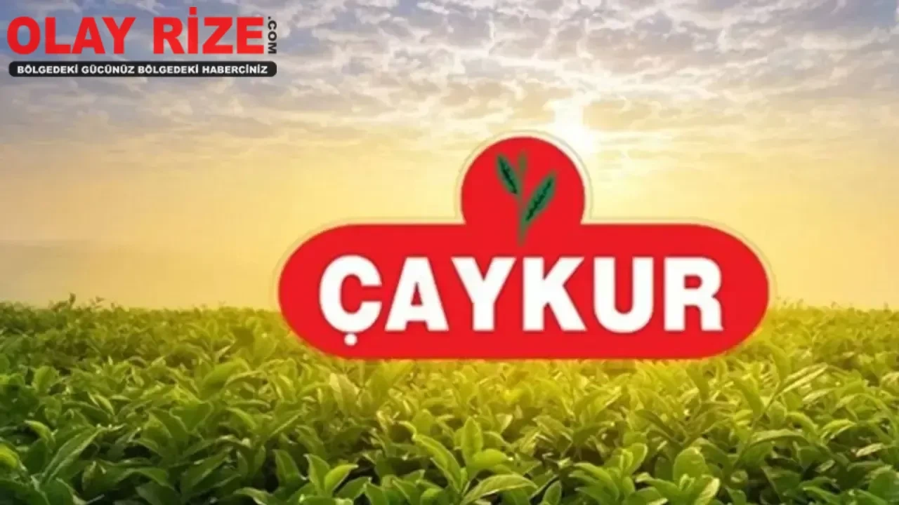 ÇAYKUR 2025'te 1500 geçici işçi alımı yapacak mı? Beklentiler artıyor!