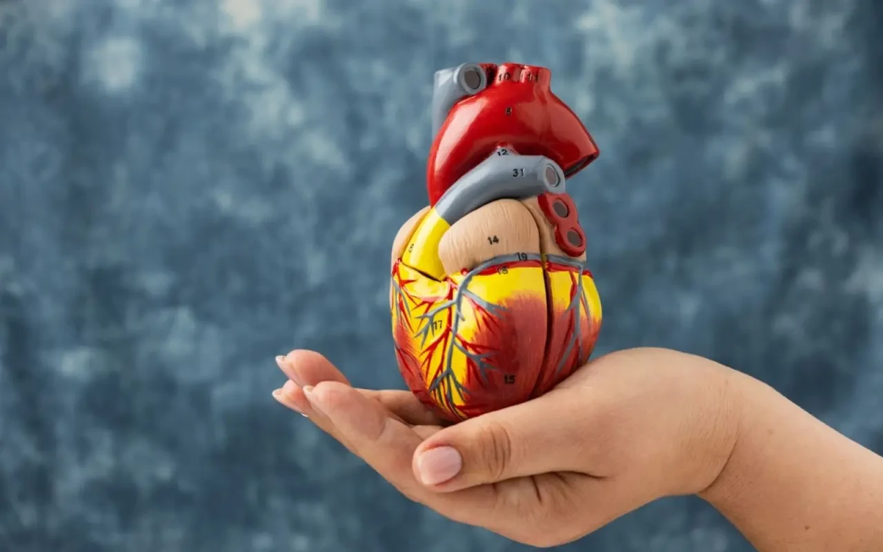 Aort anevrizması nedir? Aort anevrizması ölüm riski nedir?