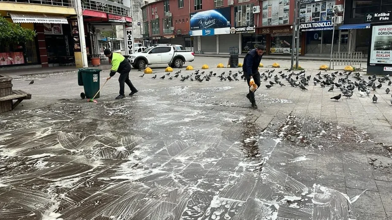 Hopa'da Temizlik ve İlaçlama Çalışmaları Başladı: İlçe Genelinde Kapsamlı Uygulamalar Yapılıyor!