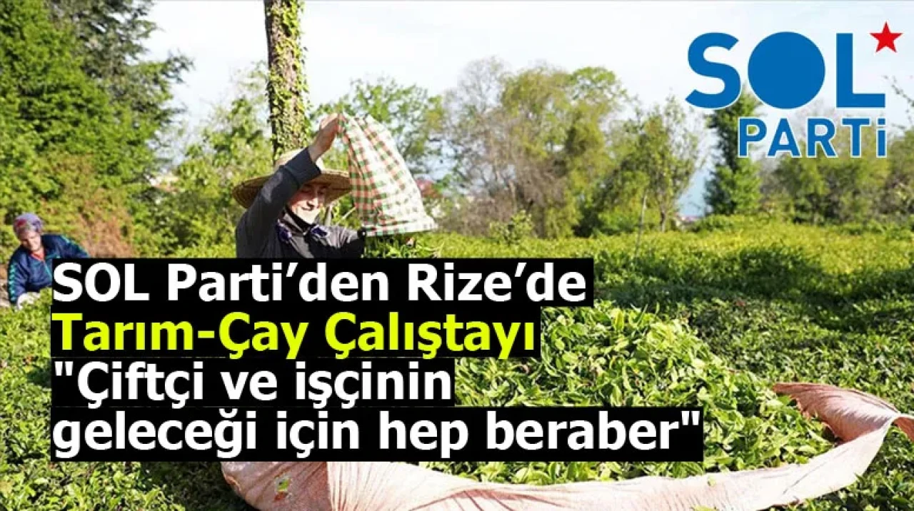 SOL Parti’den Rize’de Tarım-Çay Çalıştayı: Çiftçi ve işçinin geleceği için hep beraber