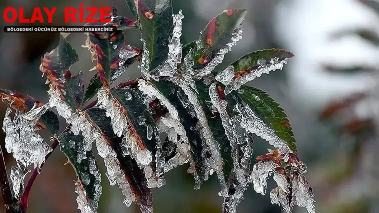 Türkiye'de 8 Nisan'da soğuk ve yağışlı hava, zirai don riski yaratacak!