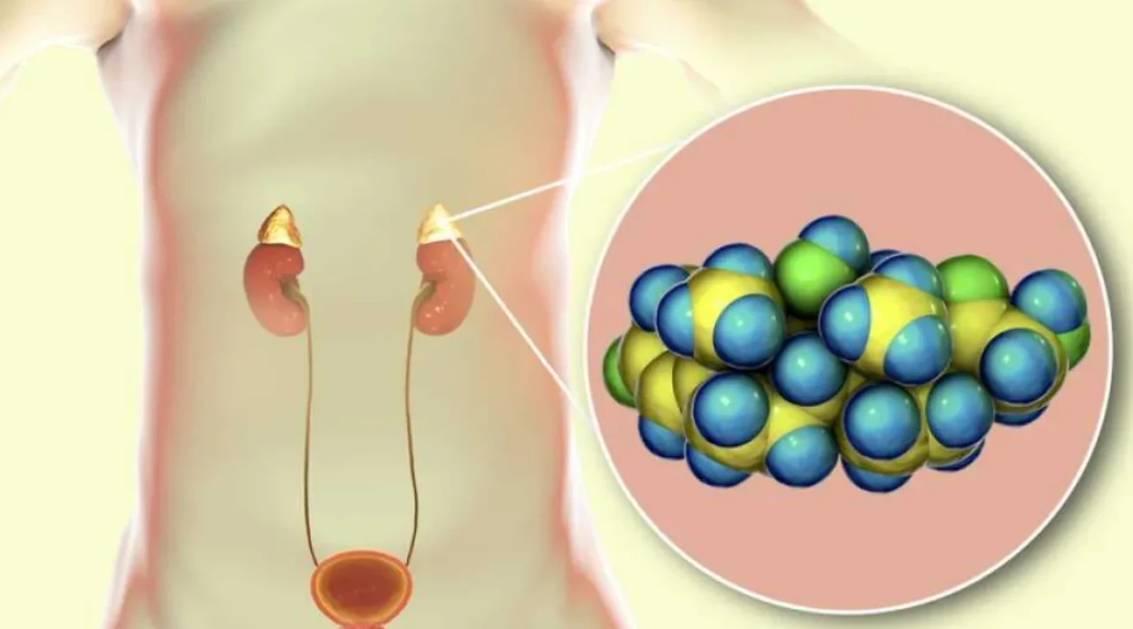 Kortizol ve Kortizon Hormonu Nedir? Ne İşe Yarar?