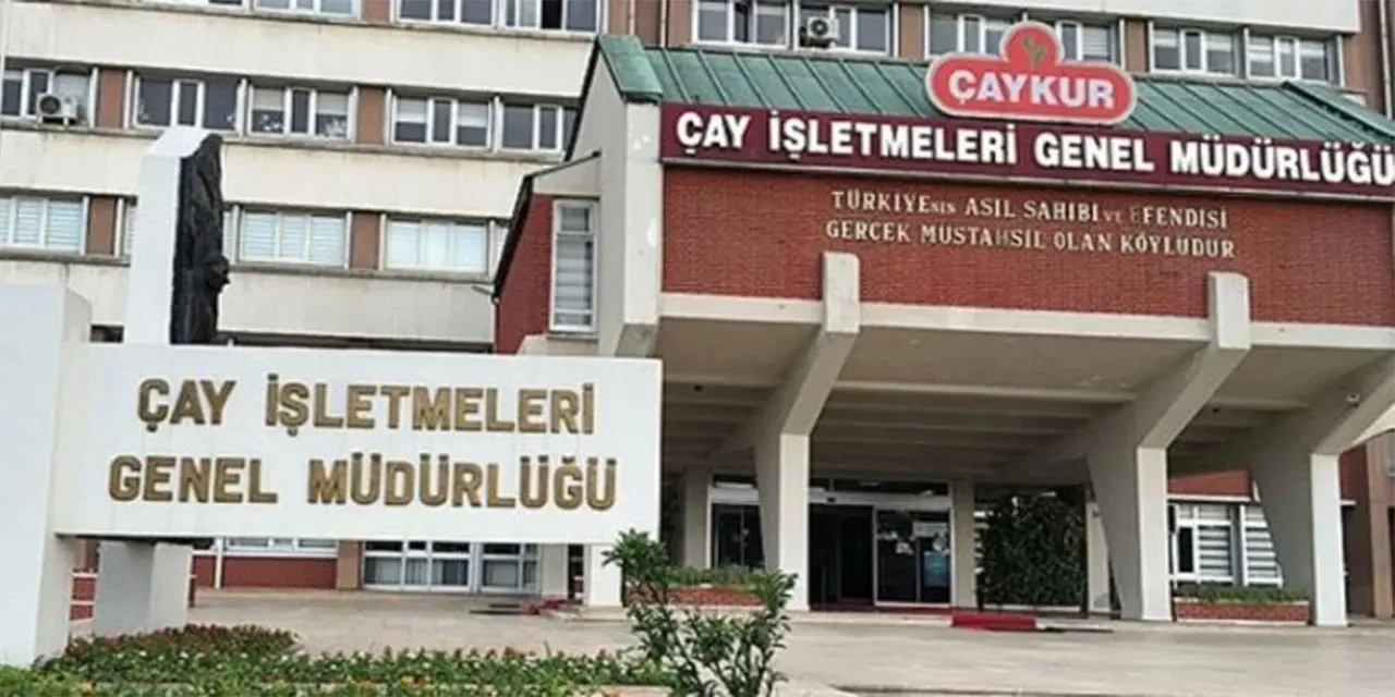 ÇAYKUR, 2025 için 1500 işçi alımını henüz başlatmadı, resmi açıklama bekleniyor!