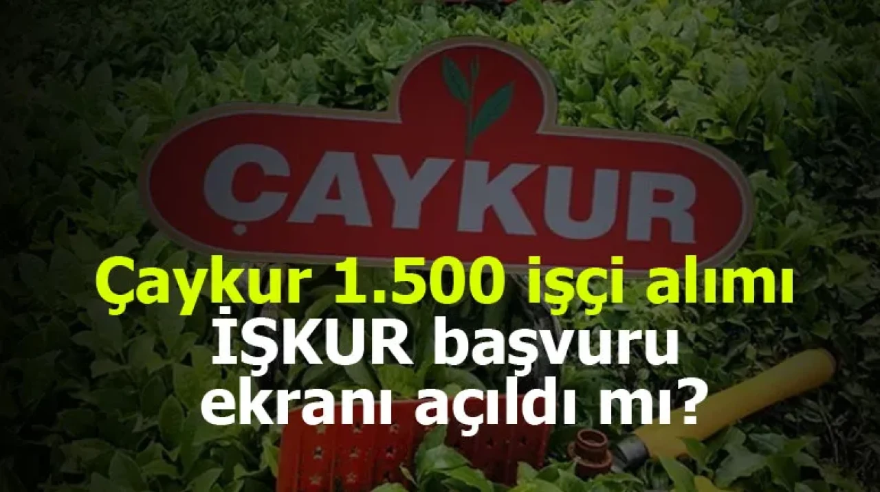 Çaykur’un 1500 İşçi Alımı İçin Başvurular Resmen Başladı! İşte Aranan Şartlar ve İŞKUR Başvuru Detayları!