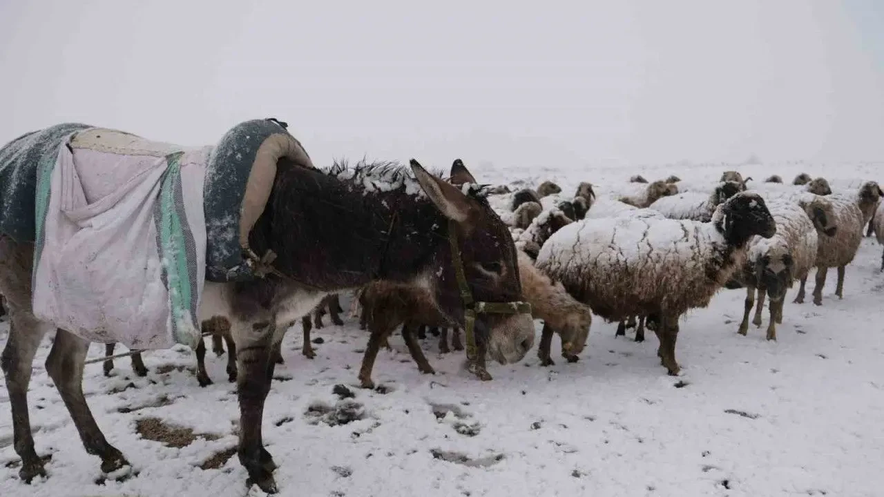 Bayburt’ta nisan ayında yoğun kar yağışı yaşandı