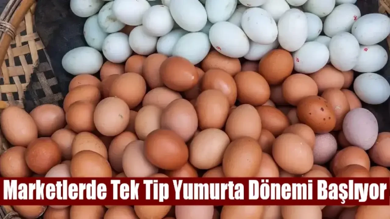 Marketlerde Tek Tip Yumurta Dönemi Başlıyor