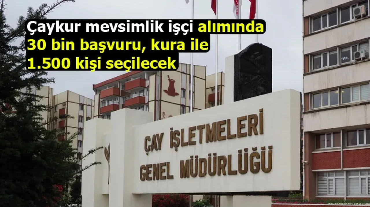 Çaykur mevsimlik işçi alımında 30 bin başvuru, kura ile 1.500 kişi seçilecek