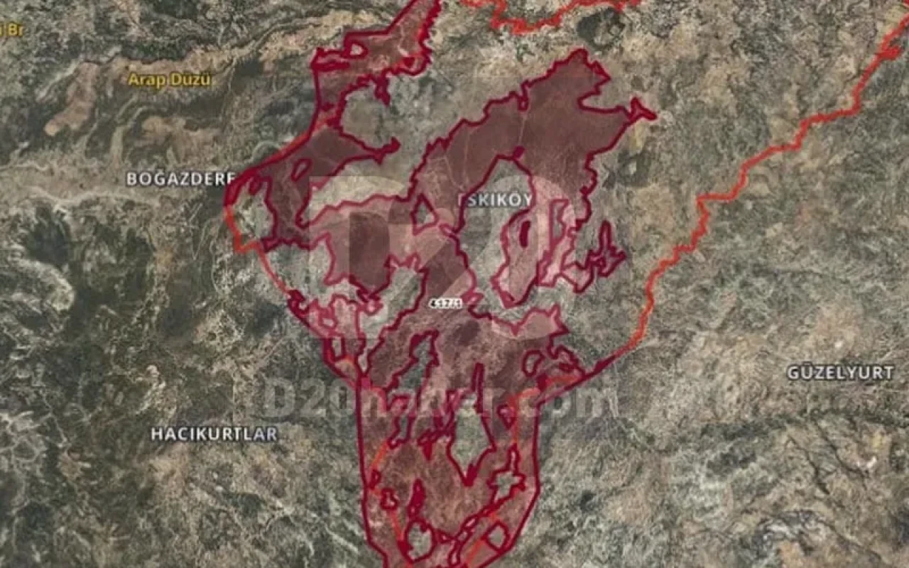 Orman Sınırları Dışına Çıkarılan Alanlar Resmi Gazete'de Yayınlandı