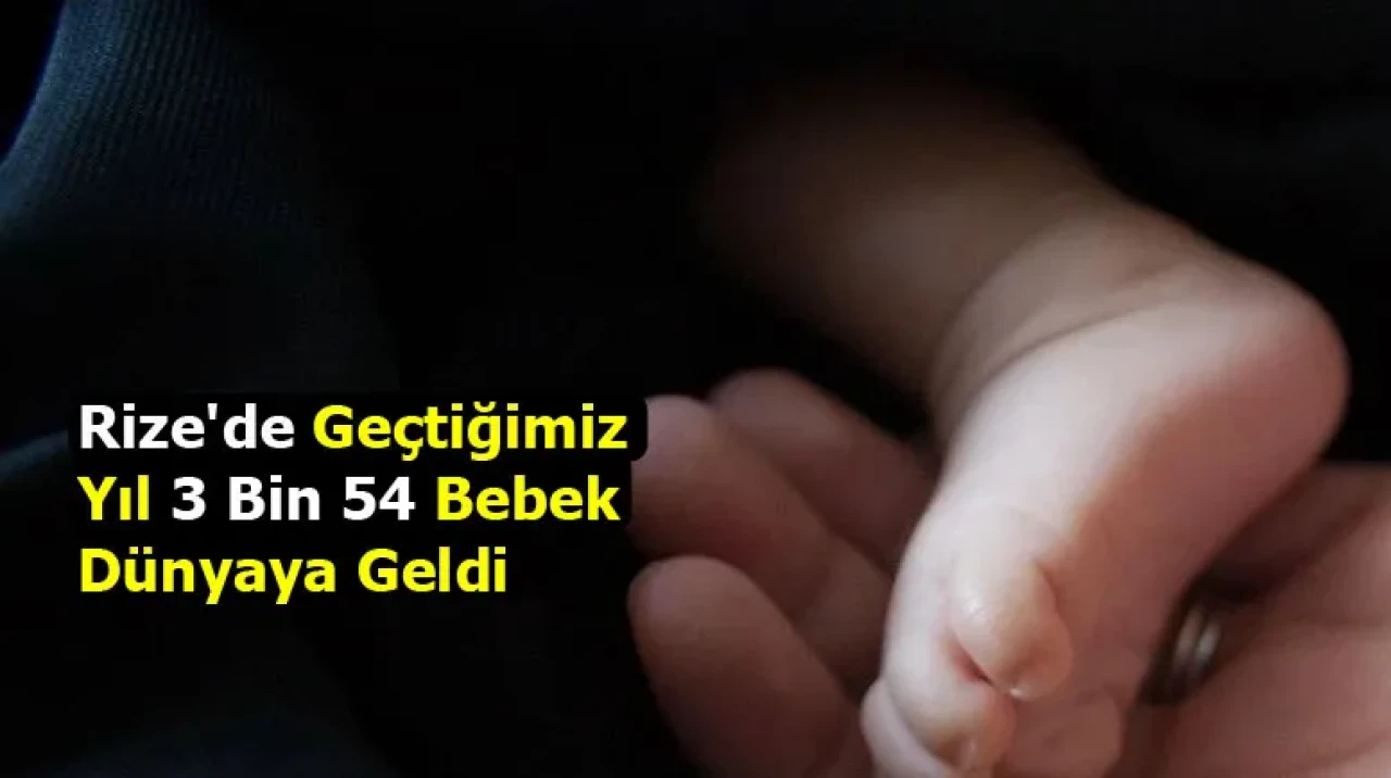 Rize'de Geçtiğimiz Yıl 3 Bin 54 Bebek Dünyaya Geldi