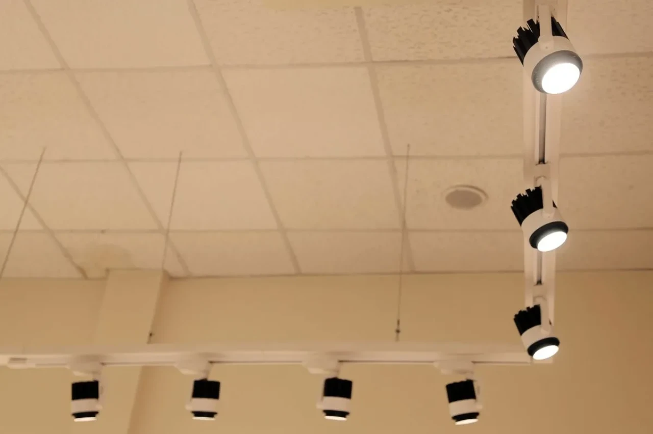 En İyi Ray spot  Işıkları İçin Satın Alma Rehberi