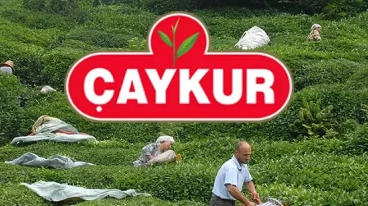 ÇAYKUR Mevsimlik İşçi Alımı Kura Sonuçları Açıklandı! Kura Sonuç Listesi