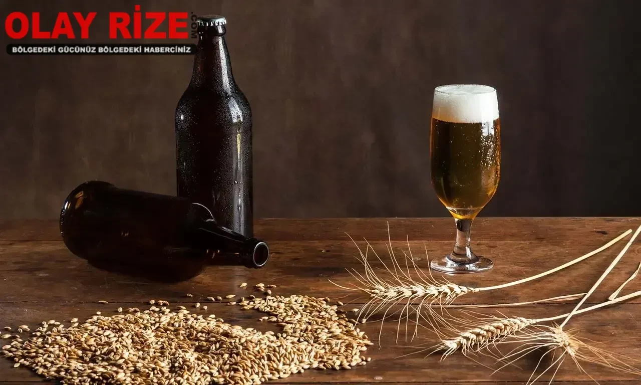 Bira Fiyatları 2025 | En Ucuz Bira Ne Kadar Oldu? Efes, Tuborg, Krombacher, Amsterdam Güncel Liste