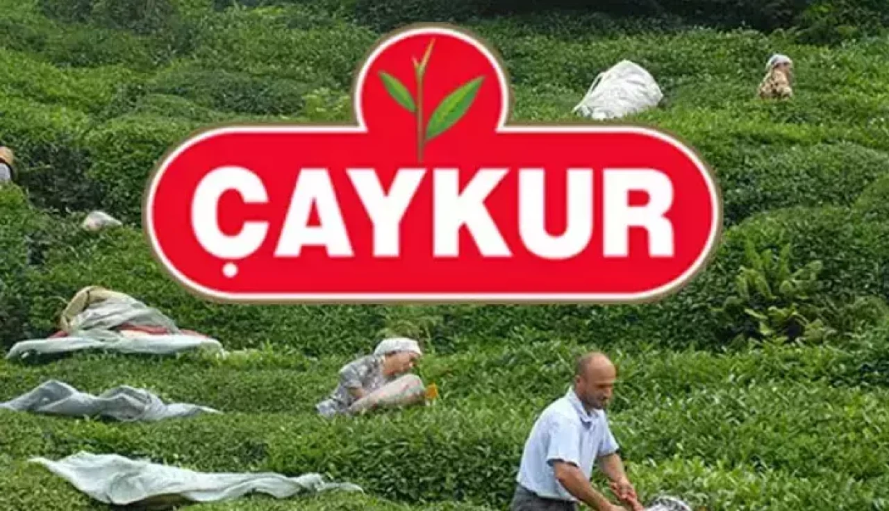 ÇAYKUR 1500 işçi alımı kura ne zaman? ÇAYKUR işçi alımı sonuçları isim listesi ne zaman belli olacak?