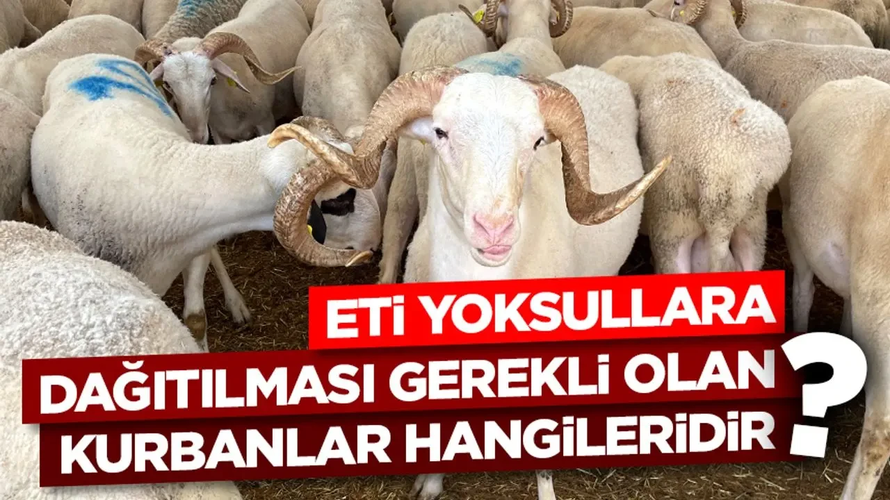 Eti yoksullara dağıtılması gerekli olan kurbanlar hangileridir?