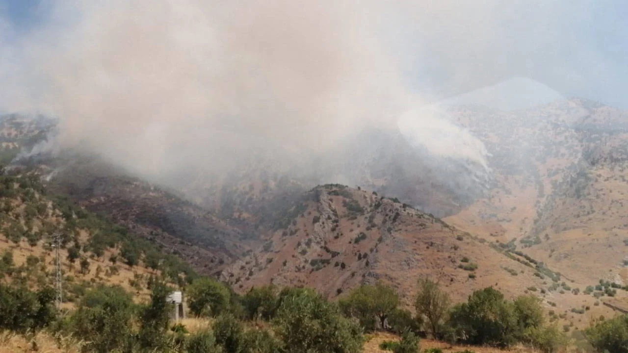 Kahramanmaraş'ta orman yangınına hızlı müdahale sürüyor, ekipler seferber oldu