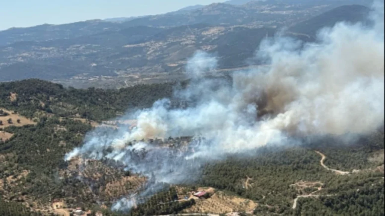 Balıkesir'de yangın ormana sıçradı, müdahale sürüyor!