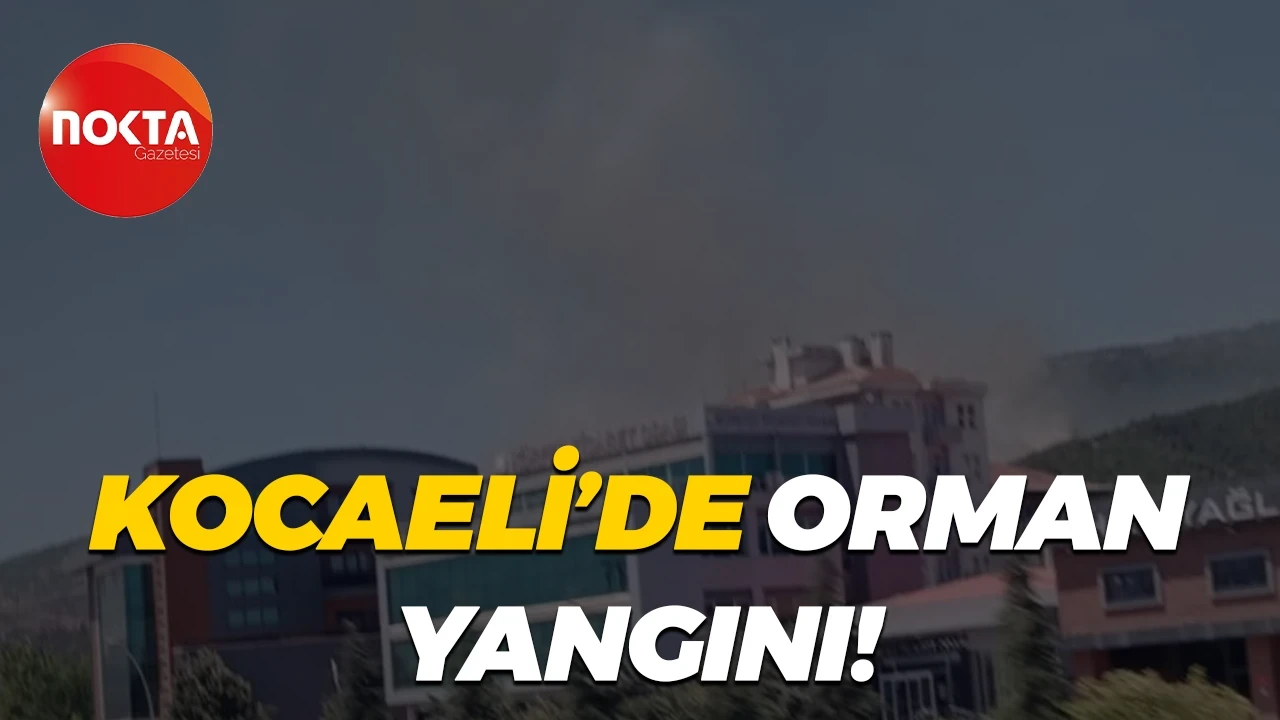 Körfez’de Ormanlık Alanda Çıkan Yangın Hızla Büyüyor, İtfaiye Ekipleri Mücadele Ediyor