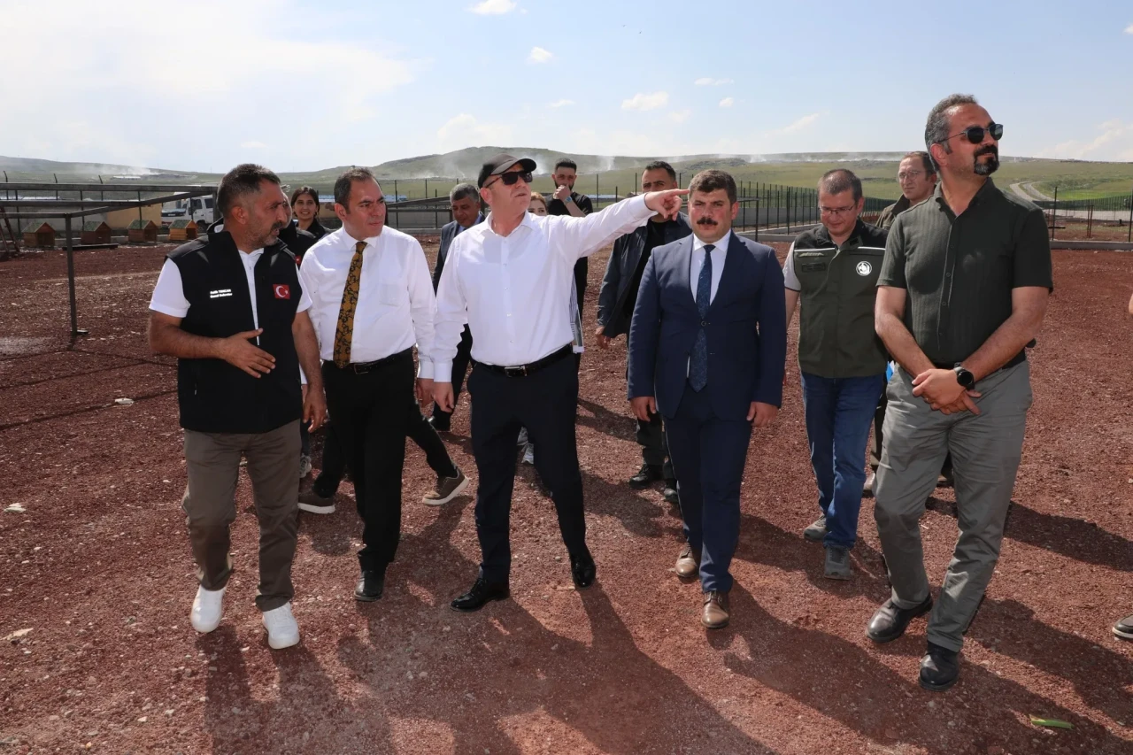 Kars’ta Sokak Hayvanları İçin Doğal Yaşam Alanı Kuruluyor