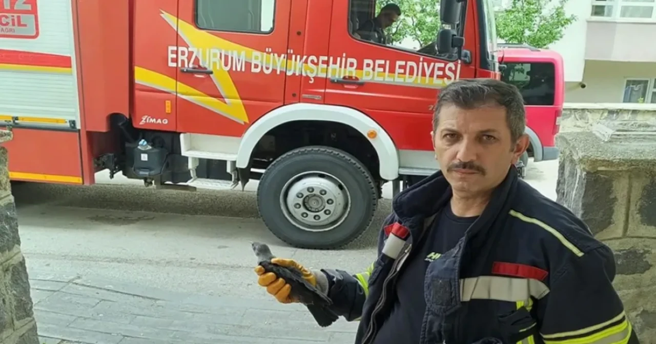 Karga yavrusu havalandırma boşluğunda mahsur kaldı, itfaiye ekipleri hızlıca kurtardı