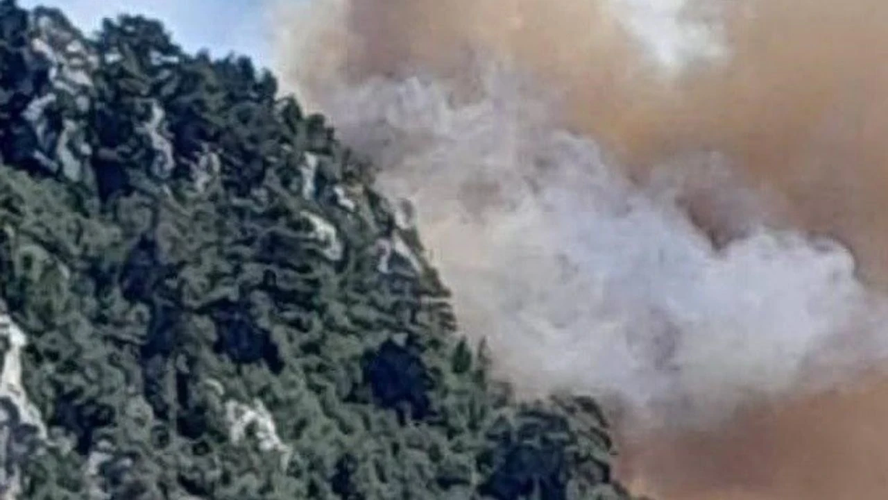 Lenger Mahallesi'nde başlayan orman yangınına hızla müdahale ediliyor, rüzgar tehlikeyi artırıyor