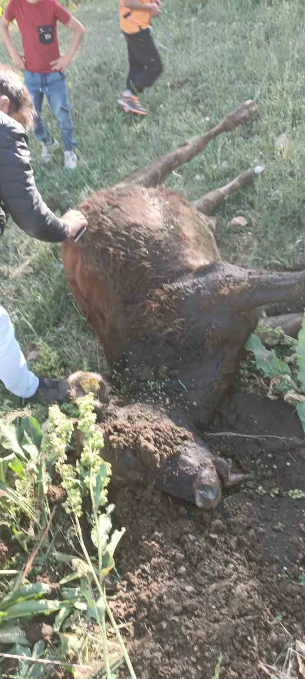 Erzurum'da yayla anlaşmazlığı kanlı bitti: Bir kişi yaralandı!