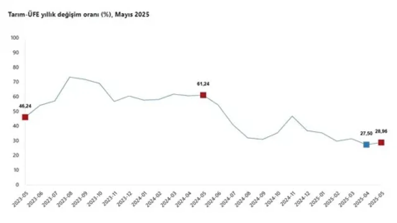 Mayıs'ta tarım ürünleri fiyatları yıllık yüzde 28,96 artış gösterdi