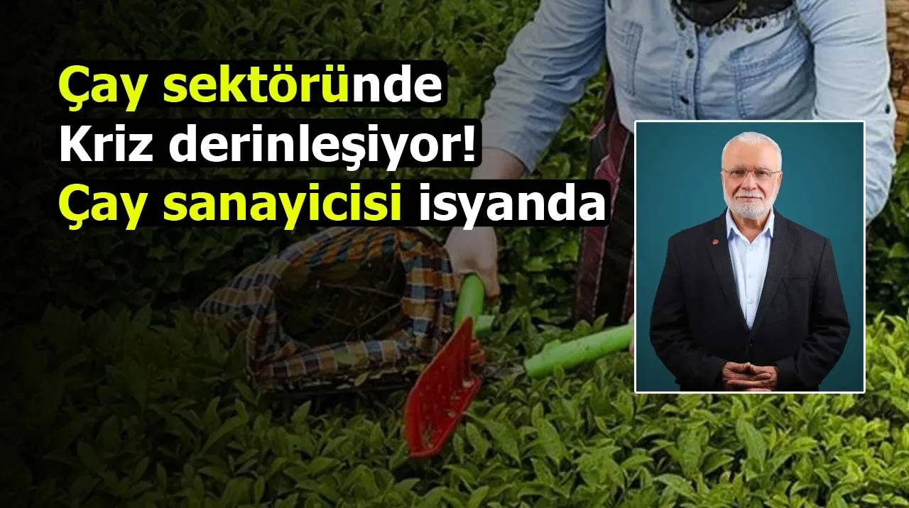 Çay sektöründe kriz derinleşiyor! Çay sanayicisi isyanda