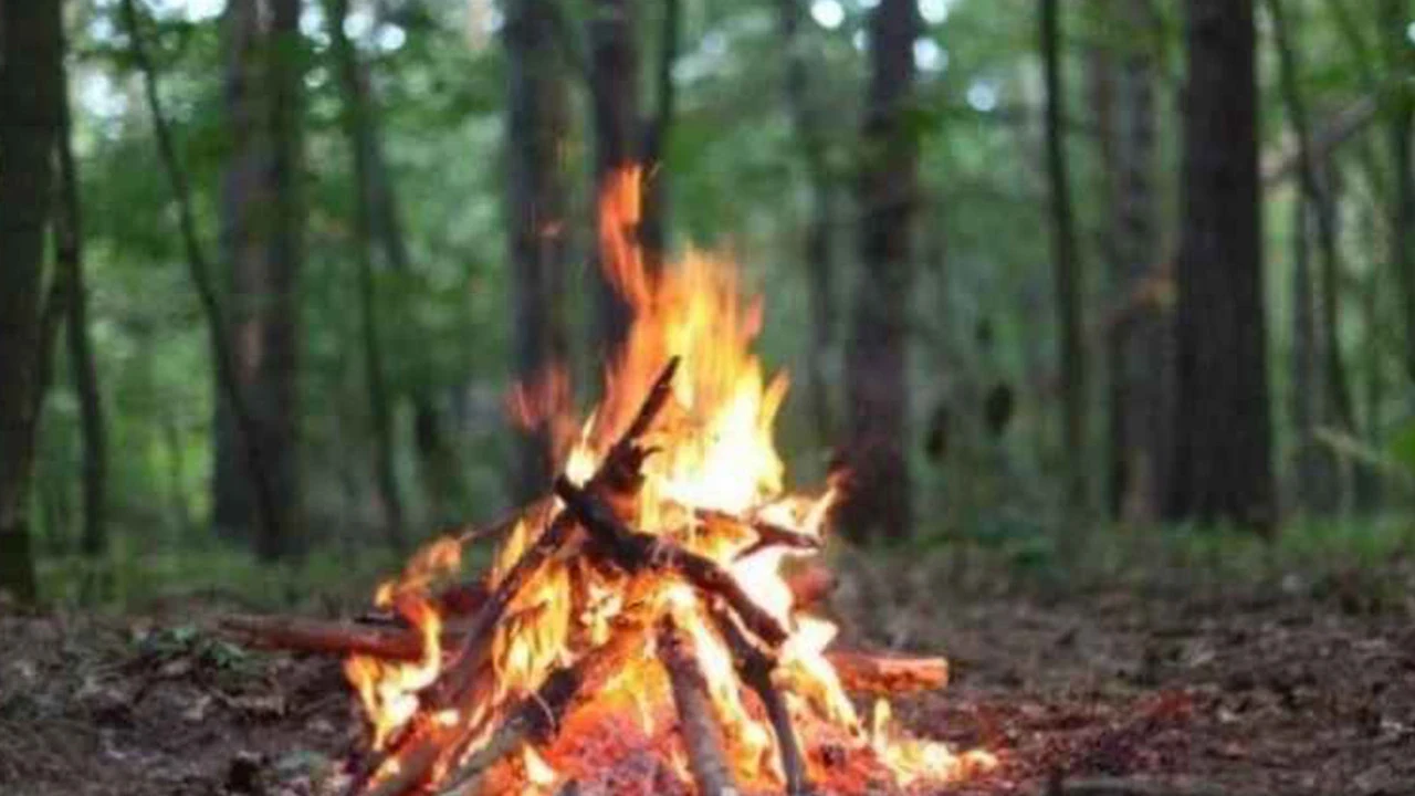 Yaz aylarında artan orman yangınları nedeniyle ormana giriş yasakları ilan edildi!