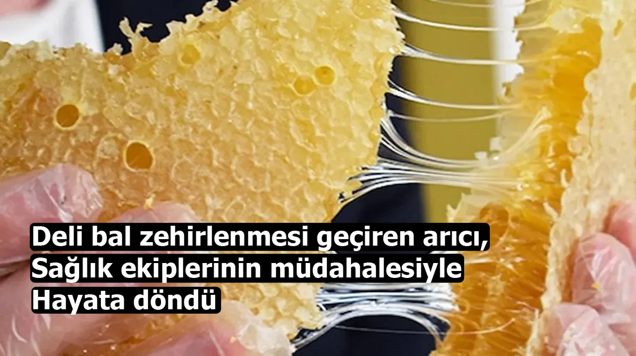 Deli bal zehirlenmesi geçiren arıcı, sağlık ekiplerinin müdahalesiyle hayata döndü