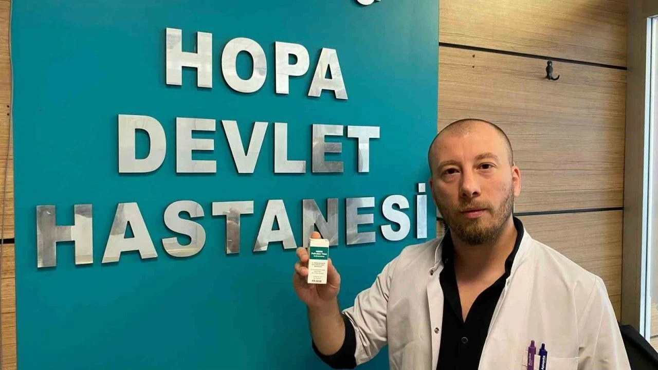 Çay sezonu başladı, Hopa'da yılan sokmaları arttı: Uzmanlardan koruyucu giysi önerisi!