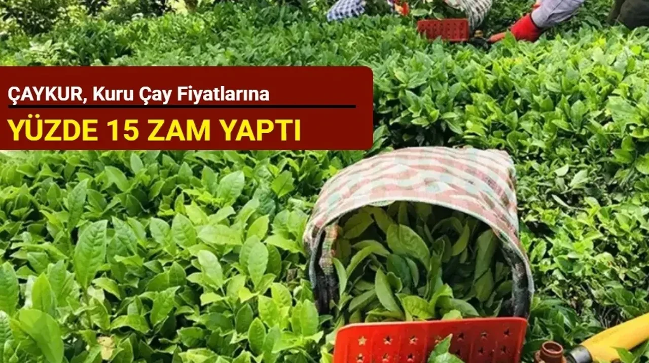 ÇAYKUR, kuru çay fiyatlarına yüzde 15 zam yaptı