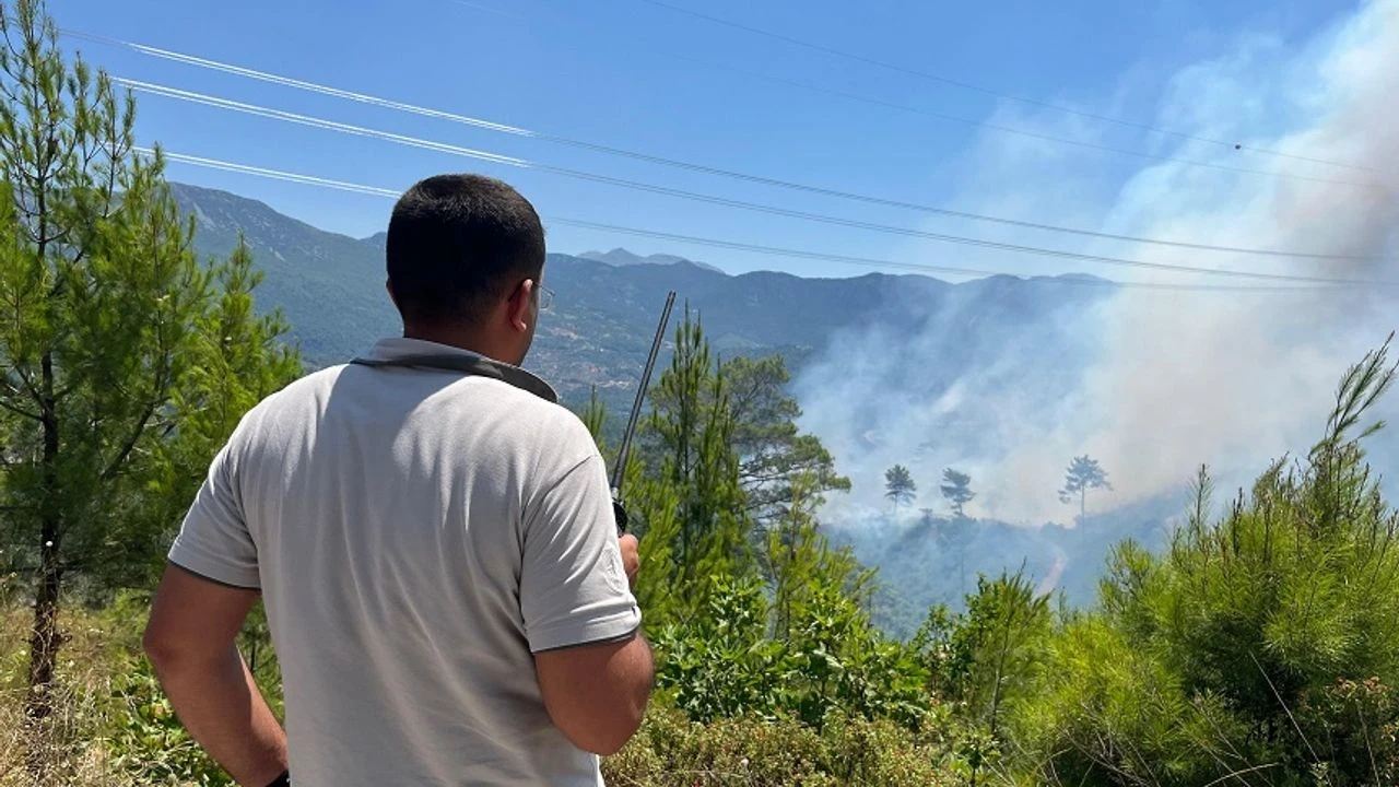 Alanya'da orman yangınına havadan ve karadan yoğun müdahale sürüyor