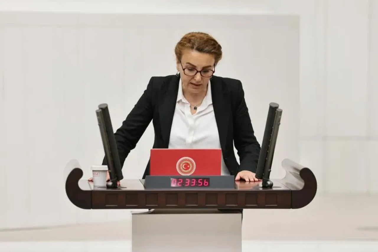 DEM Partili Otlu: Ev işçiliği tanınmalı, sigorta ve sendika hakkı verilmeli