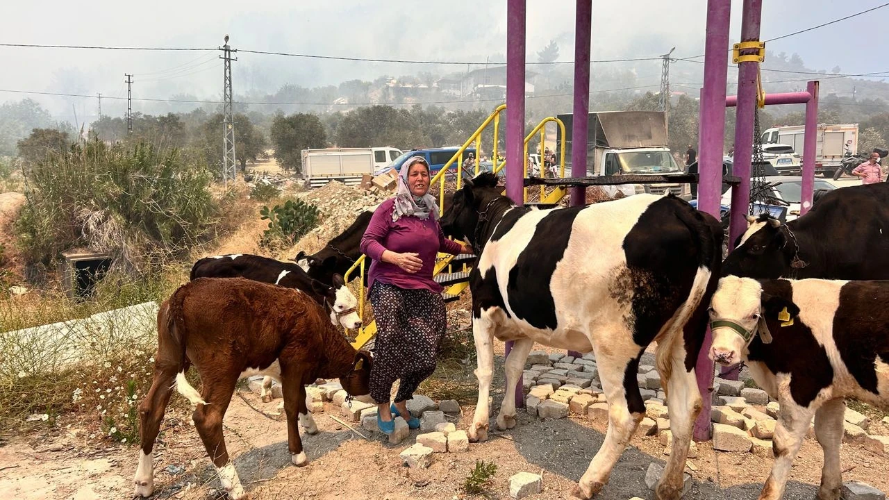 Hatay'daki Yangın Korkusu: Kadın Hayvanlarını Ekiplerin Yardımıyla Kurtardı