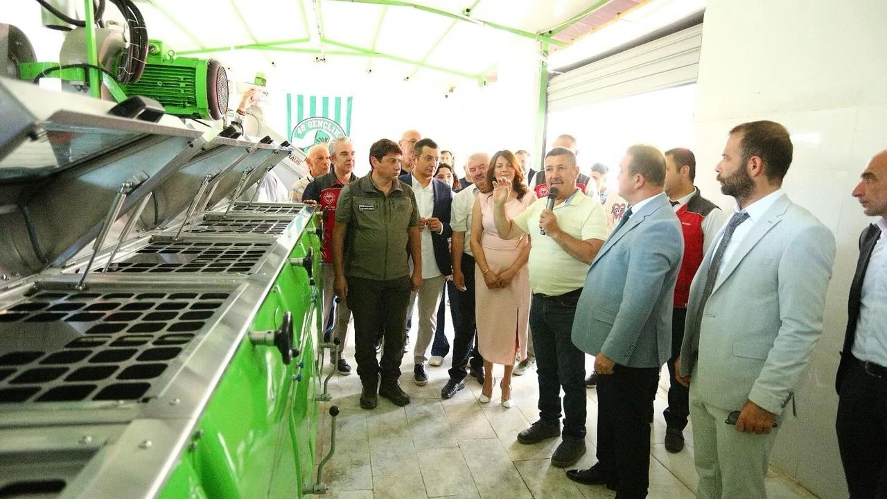 Muğla'da Zeytinyağı Kalite Yarışması'na Rekor Katılım ve Keyifli Etkinlikler Düzenlendi